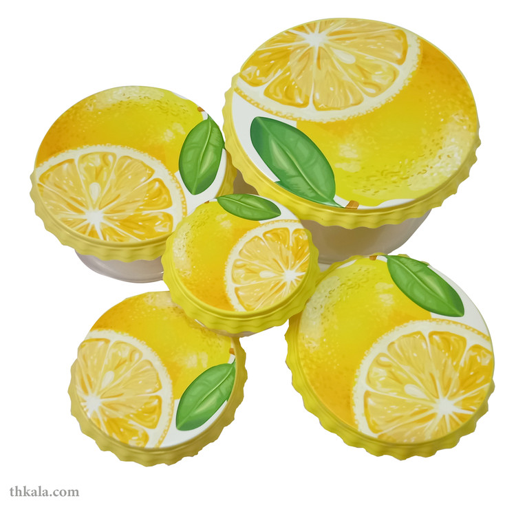 ظرف نگهدارنده مدل TH9191 مجموعه 5 عددی